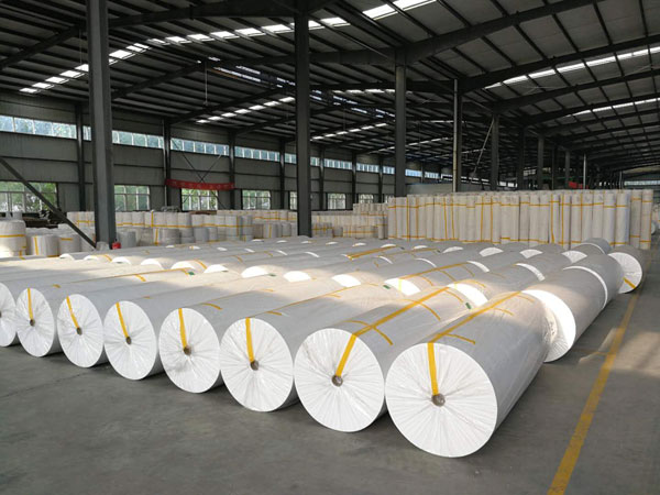 青岛狭缝式涤纶纺粘无纺布